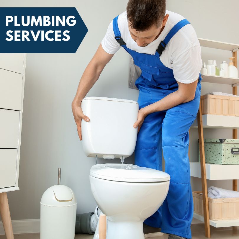 Plumbing Company in Harrietta, MI